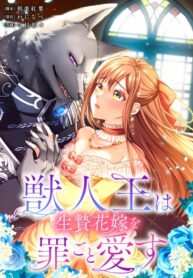 Cover 85219
