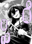 Cover 85227
