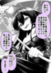 Cover 85227