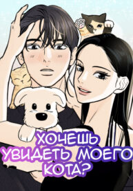 Cover 85235