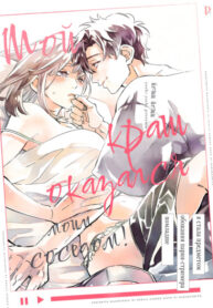 Cover 85244