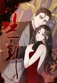 Cover 85258