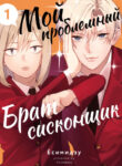Cover 85280