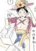 Cover 85312