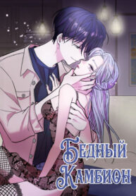 Cover 85330
