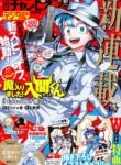 Cover 85360