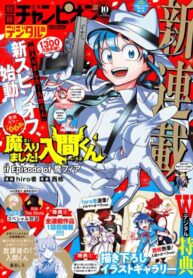 Cover 85360