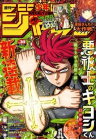Cover 85368