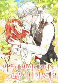 Cover 85398