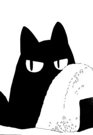 Cover 85480