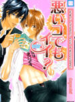 Cover 85524