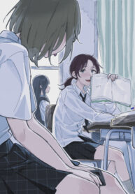 Cover 85548