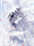 Cover 85558