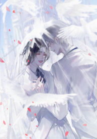 Cover 85558