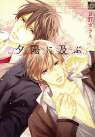 Cover 85566