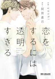 Cover 85580