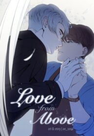 Cover 85607