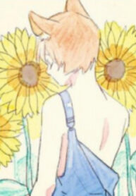 Cover 85623