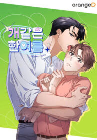 Cover 85635