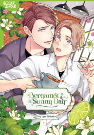 Cover 85653