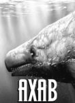 Cover 85707