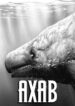 Cover 85707