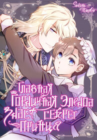 Cover 85731