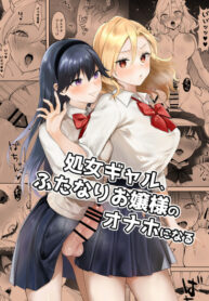 Cover 85896