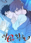 Cover 85916