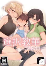 Cover 85960
