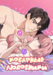 Cover 85986
