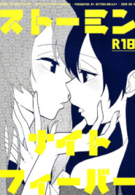 Cover 86060