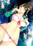 Cover 86064