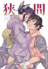 Cover 86082