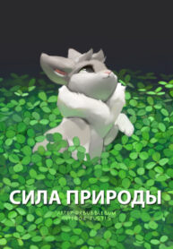 Cover 86204