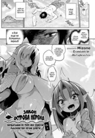 Cover 86505