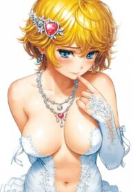 Cover 86511