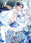 Cover 86523