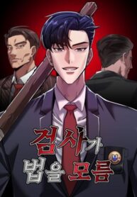 Cover 86545