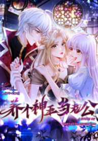 Cover 86633