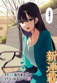 Cover 86637