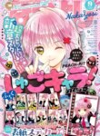 Cover 86641