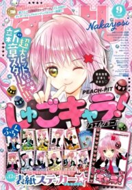 Cover 86641