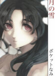 Cover 86691
