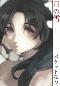 Cover 86691