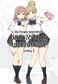 Cover 86729