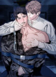 Cover 86790