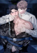 Cover 86790