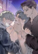 Cover 86812