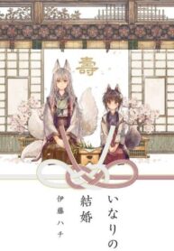 Cover 86852